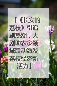 《长安的荔枝》引追剧热潮，大剧助农多领域联动激发荔枝经济新活力