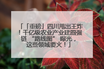「重磅」四川甩出王炸！千亿级农业产业建圈强链 “路线图” 曝光，这些领域要火！
