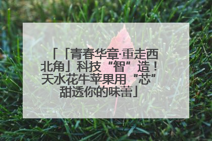 「青春华章·重走西北角」科技“智”造！天水花牛苹果用“芯”甜透你的味蕾