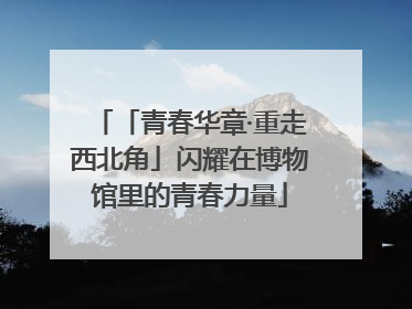 「青春华章·重走西北角」闪耀在博物馆里的青春力量