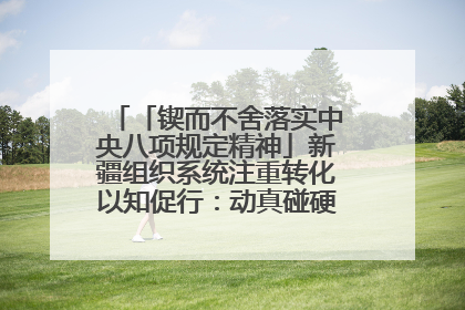「锲而不舍落实中央八项规定精神」新疆组织系统注重转化以知促行：动真碰硬抓好整改整治