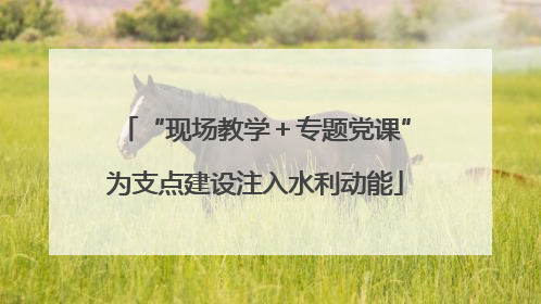 “现场教学＋专题党课”为支点建设注入水利动能