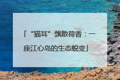 “猫耳”飘散荷香：一座江心岛的生态蜕变