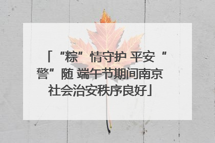 “粽”情守护 平安“警”随 端午节期间南京社会治安秩序良好