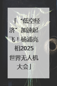 “低空经济”加速起飞！杨浦亮相2025世界无人机大会