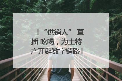 “供销人” 直播 吆喝，为土特产开辟数字销路
