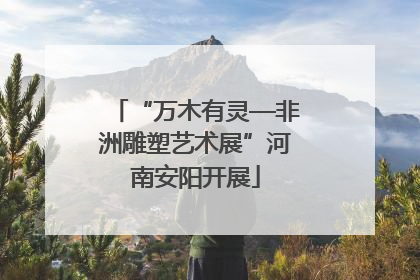 “万木有灵—非洲雕塑艺术展”河南安阳开展