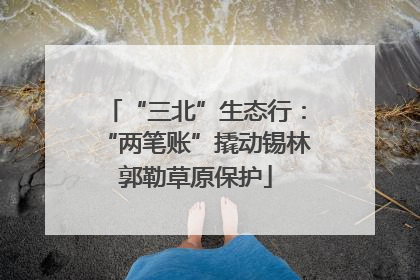 “三北”生态行：“两笔账”撬动锡林郭勒草原保护