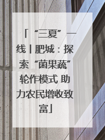 “三夏”一线丨肥城：探索“菌果蔬”轮作模式 助力农民增收致富