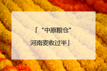 “中原粮仓”河南麦收过半