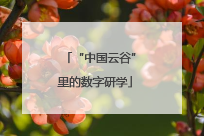“中国云谷”里的数字研学