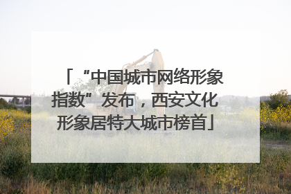 “中国城市网络形象指数”发布，西安文化形象居特大城市榜首