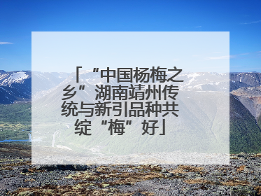 “中国杨梅之乡”湖南靖州传统与新引品种共绽“梅”好