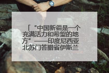 “中国新疆是一个充满活力和希望的地方”——印度尼西亚北苏门答腊省伊斯兰教代表团参访新疆