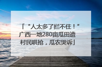 “人太多了拦不住！”广西一地280亩瓜田遭村民哄抢，瓜农哭诉