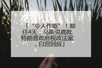 “令人作呕”！卸任4天，马斯克痛批特朗普政府税改法案，白宫回应