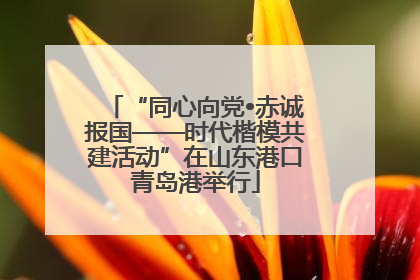 “同心向党•赤诚报国——时代楷模共建活动”在山东港口青岛港举行