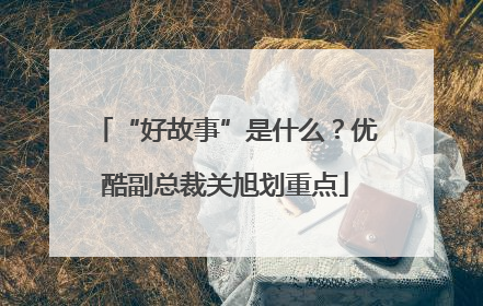 “好故事”是什么？优酷副总裁关旭划重点