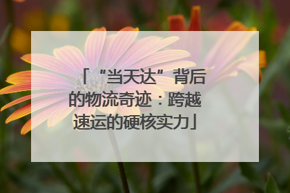 “当天达”背后的物流奇迹：跨越速运的硬核实力