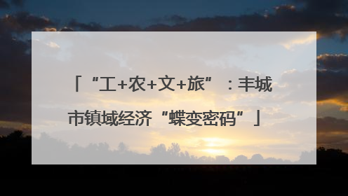 “工+农+文+旅”：丰城市镇域经济“蝶变密码”