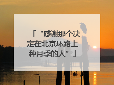 “感谢那个决定在北京环路上种月季的人”