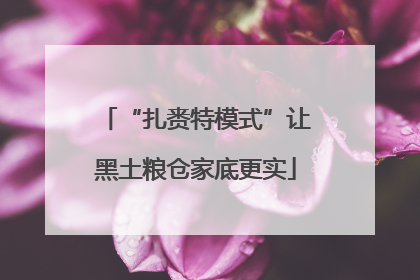 “扎赉特模式”让黑土粮仓家底更实
