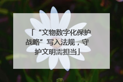 “文物数字化保护战略”写入法规，守护文明需担当