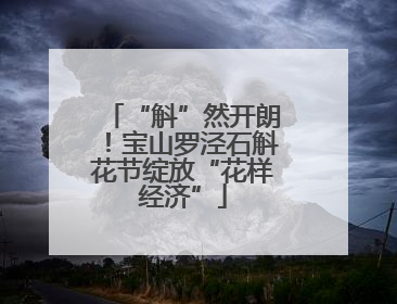“斛”然开朗！宝山罗泾石斛花节绽放“花样经济”