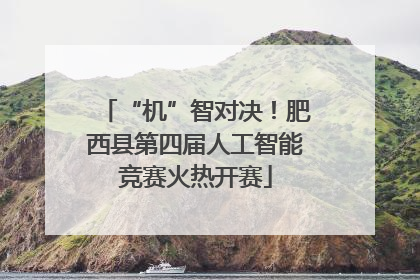 “机”智对决！肥西县第四届人工智能竞赛火热开赛