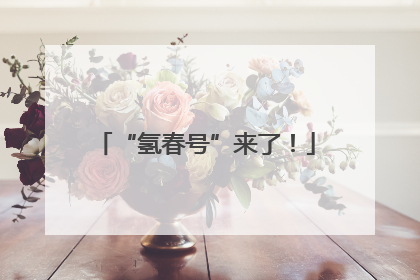 “氢春号”来了！