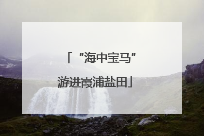 “海中宝马”游进霞浦盐田
