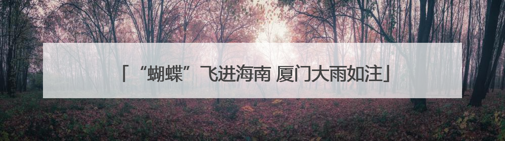 “蝴蝶”飞进海南 厦门大雨如注