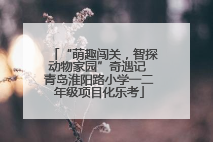 “萌趣闯关，智探动物家园”奇遇记 青岛淮阳路小学一二年级项目化乐考