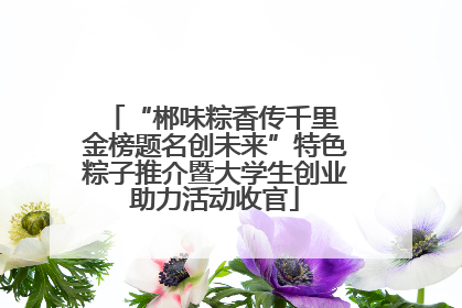 “郴味粽香传千里 金榜题名创未来”特色粽子推介暨大学生创业助力活动收官