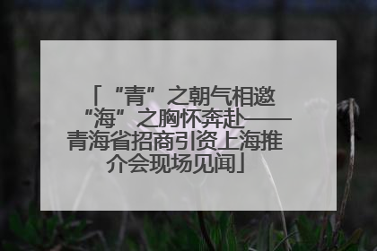 “青”之朝气相邀 “海”之胸怀奔赴——青海省招商引资上海推介会现场见闻