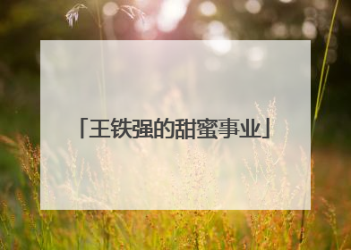 王铁强的甜蜜事业