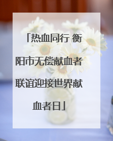 热血同行 衡阳市无偿献血者联谊迎接世界献血者日