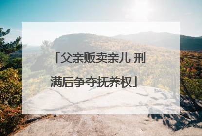 父亲贩卖亲儿 刑满后争夺抚养权