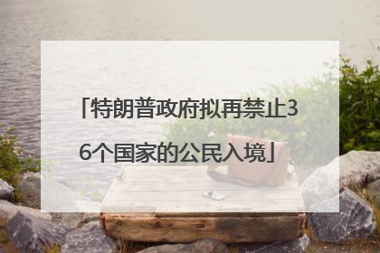 特朗普政府拟再禁止36个国家的公民入境