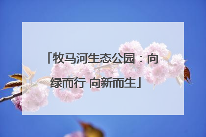 牧马河生态公园：向绿而行 向新而生