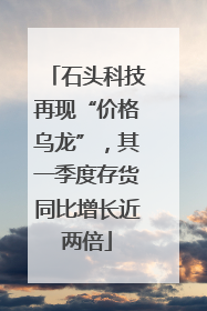 石头科技再现“价格乌龙”，其一季度存货同比增长近两倍