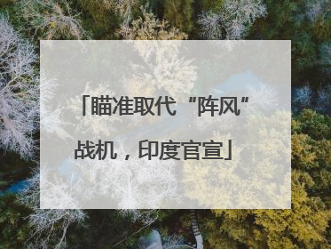 瞄准取代“阵风”战机，印度官宣
