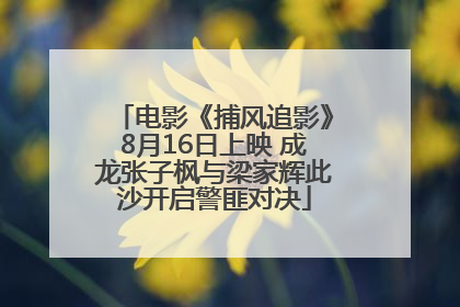 电影《捕风追影》8月16日上映 成龙张子枫与梁家辉此沙开启警匪对决