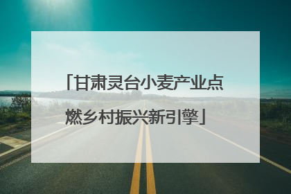 甘肃灵台小麦产业点燃乡村振兴新引擎