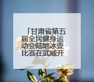 甘肃省第五届全民健身运动会陆地冰壶比赛在武威开赛
