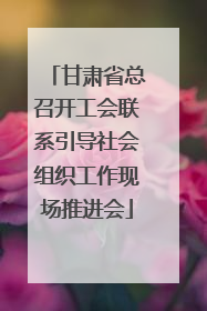 甘肃省总召开工会联系引导社会组织工作现场推进会