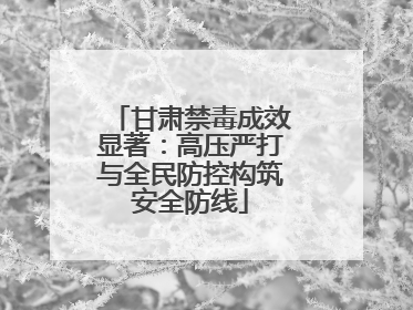 甘肃禁毒成效显著：高压严打与全民防控构筑安全防线