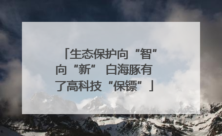 生态保护向“智”向“新” 白海豚有了高科技“保镖”