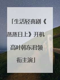 生活轻喜剧《蒸蒸日上》开机 高叶韩东君领衔主演