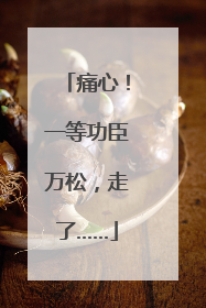 痛心！一等功臣万松，走了……